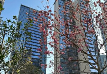 珠光·金融城壹号