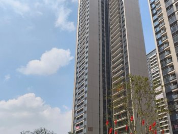 金碧花园